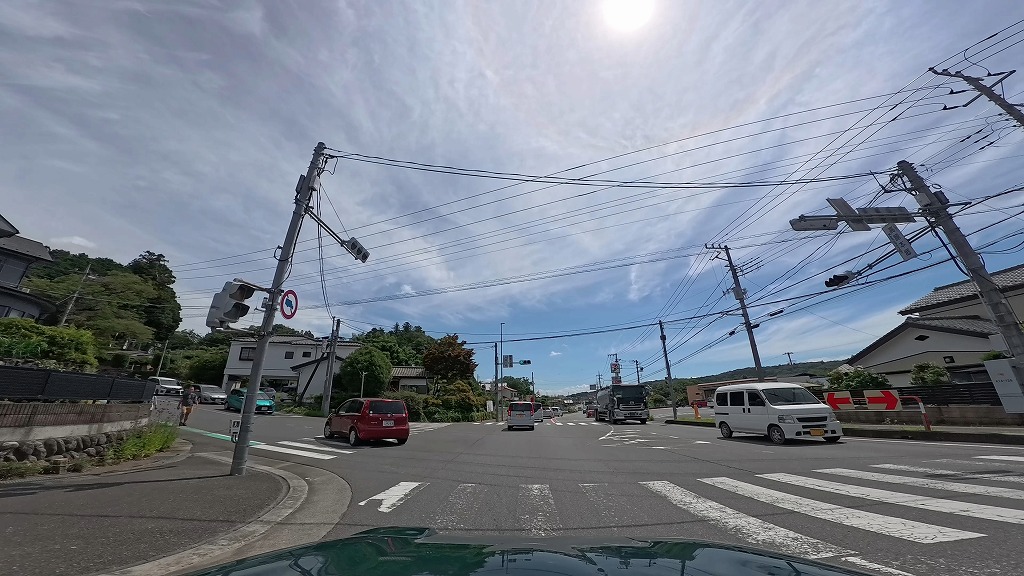 日高市 カワセミ街道